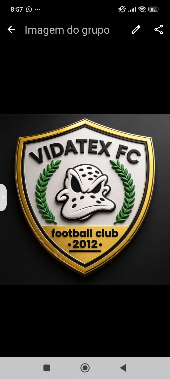VIDATEX FC